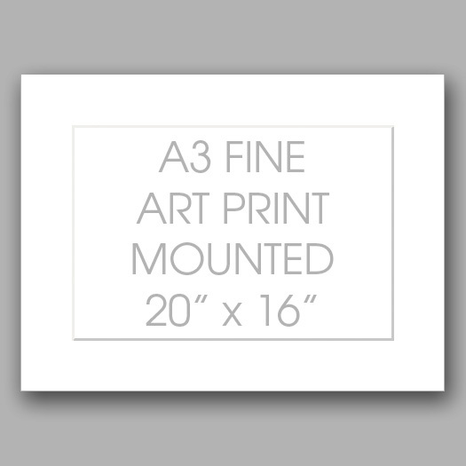 20"x16" Mounted Fine Art Print